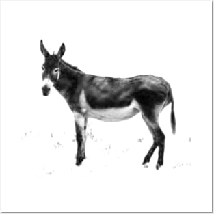 The Donkey! Posters and Art